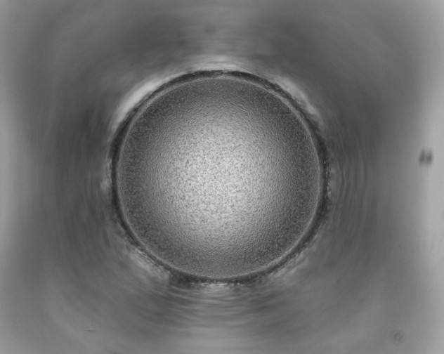 X0000091931167200709121553
