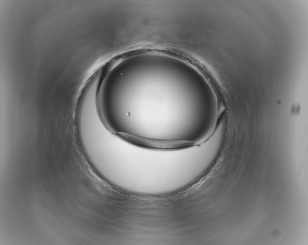X0000091931168200709121553