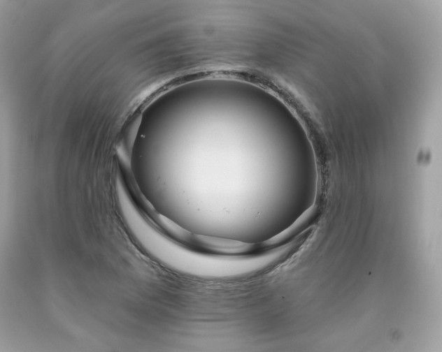 X0000091931169200709121553