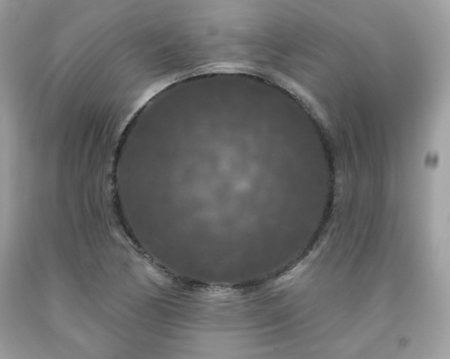 X0000091931170200709121553
