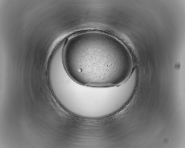 X0000091931172200709121553