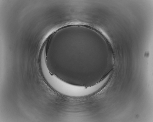 X0000091931173200709121553