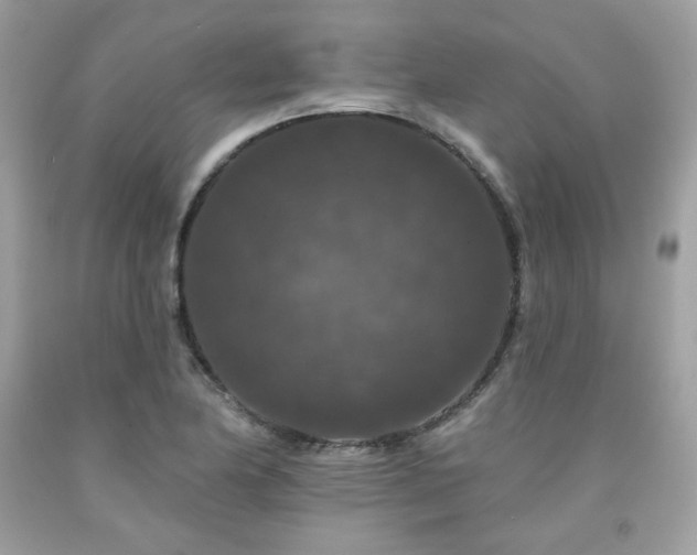 X0000091931174200709121553