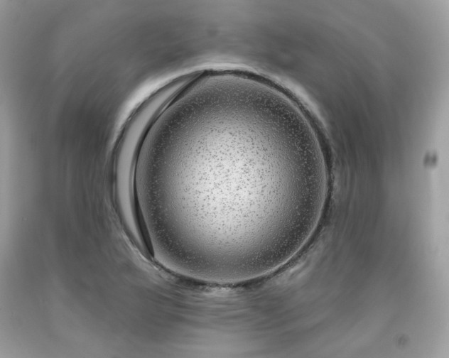 X0000091931175200709121553