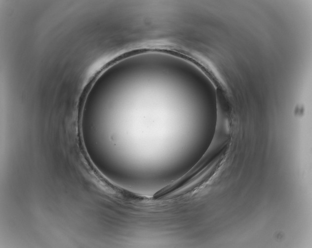 X0000091931176200709121553