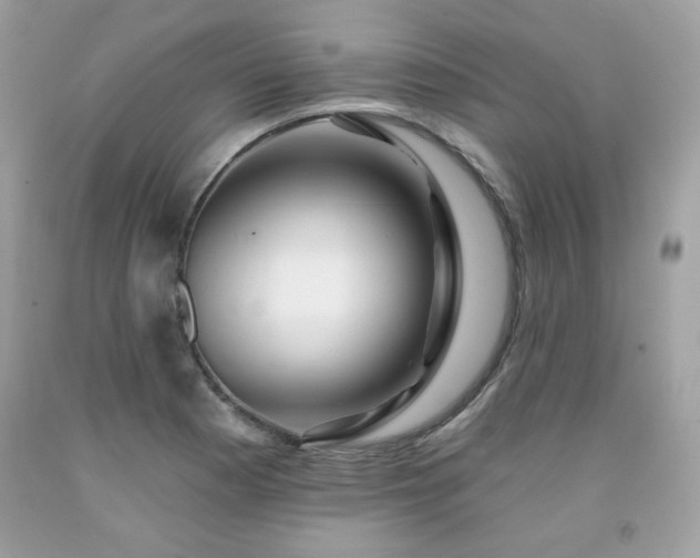 X0000091931177200709121553