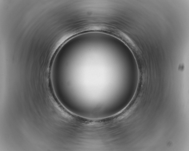 X0000091931178200709121553