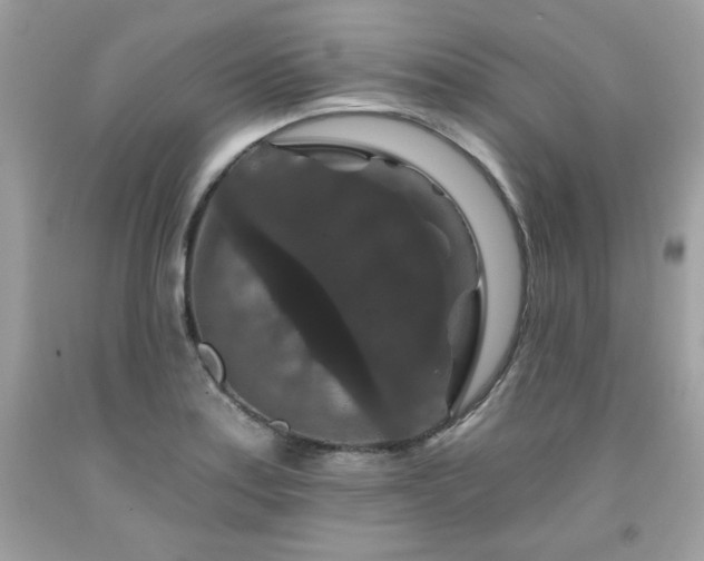 X0000091931179200709121553