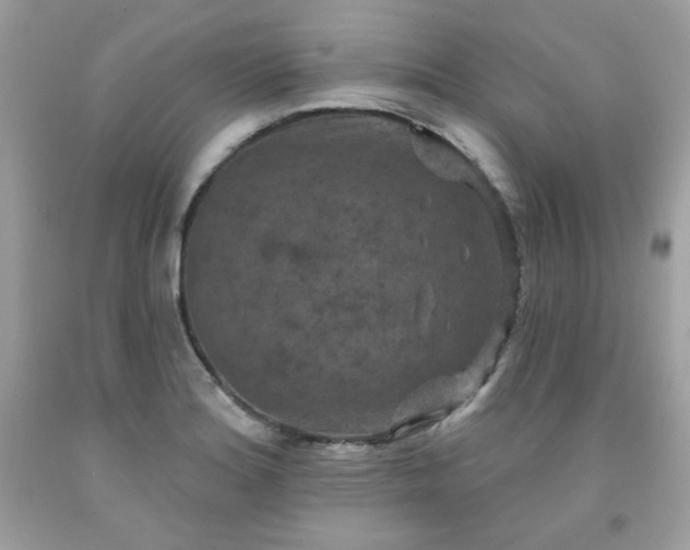 X0000091931180200709121553