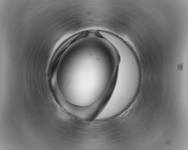 X0000091931181200709121553