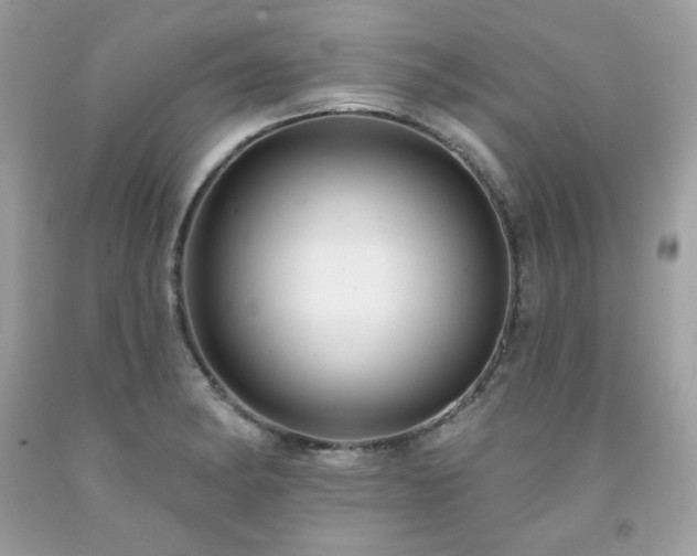 X0000091931182200709121553