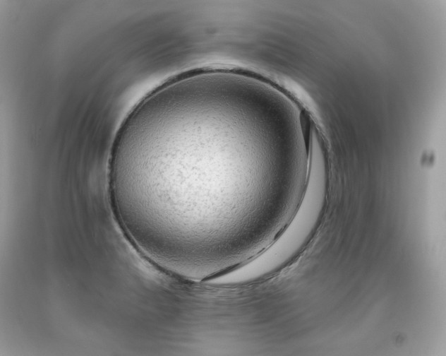 X0000091931183200709121553
