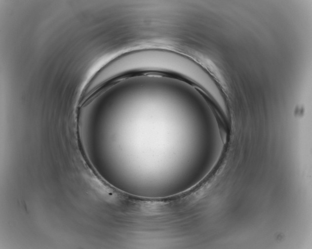 X0000091931184200709121553