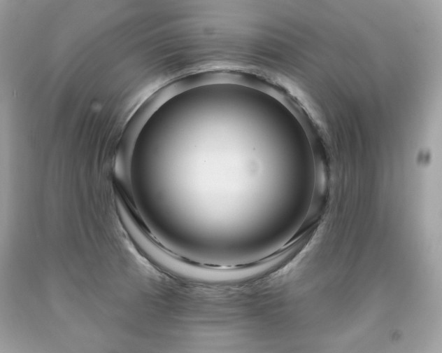 X0000091931185200709121553