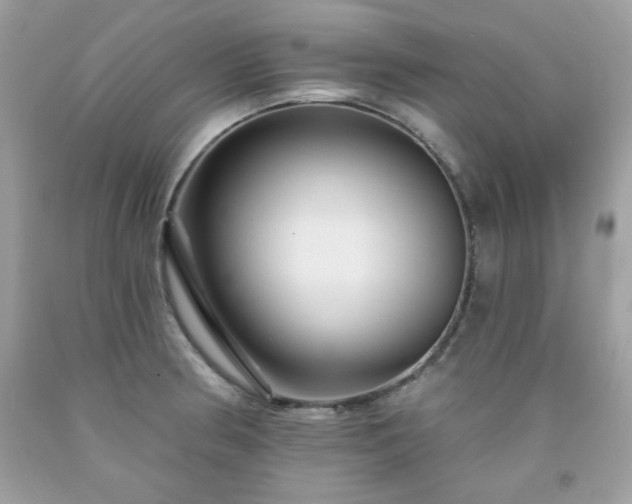 X0000091931186200709121553