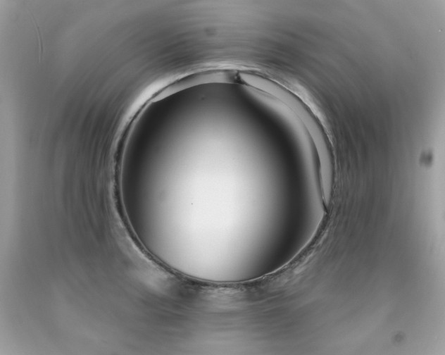X0000091931187200709121553