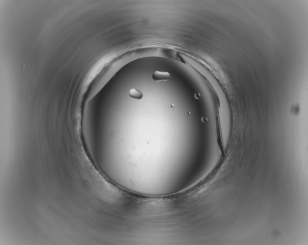 X0000091931188200709121553