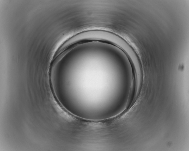 X0000091931189200709121553