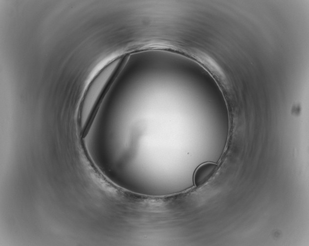 X0000091931190200709121552