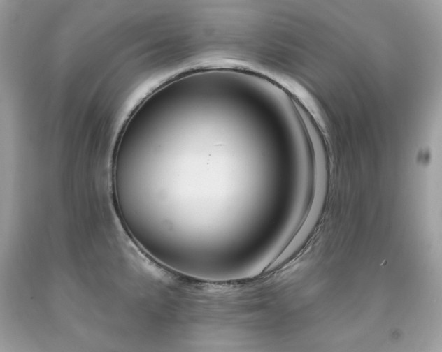 X0000091931191200709121552