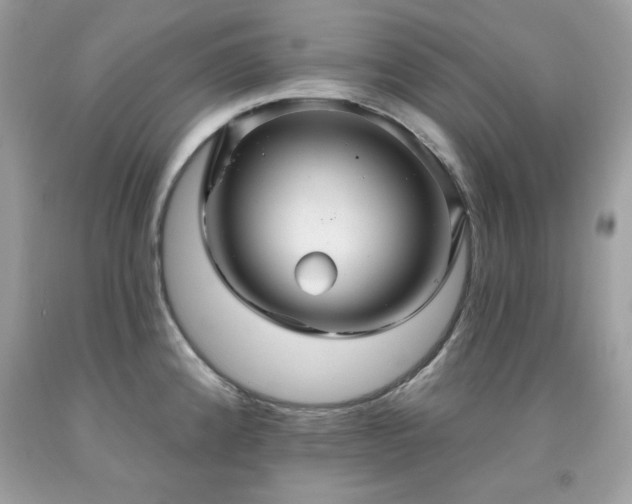 X0000091931192200709121552