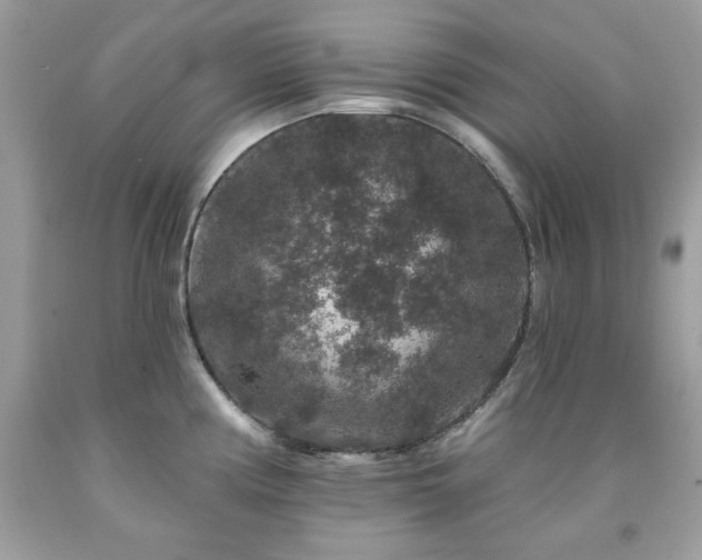 X0000091931194200709121552