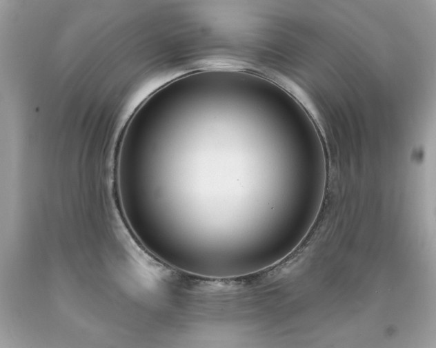 X0000091931195200709121552