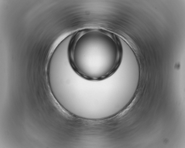 X0000091931196200709121552
