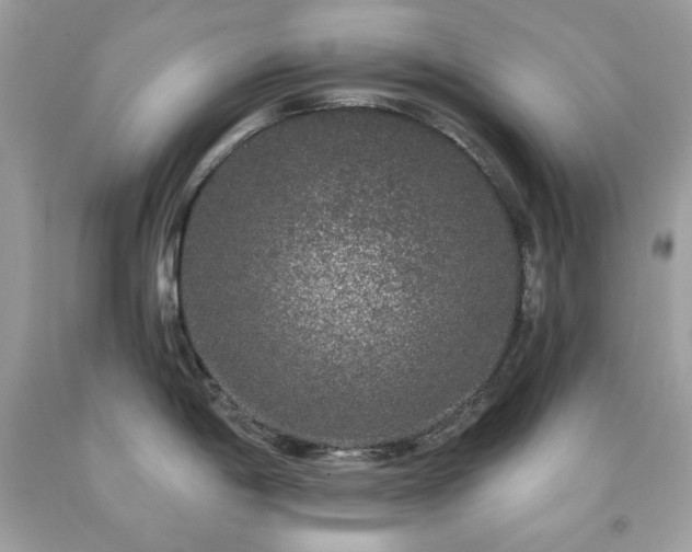 X0000091931198200709121552