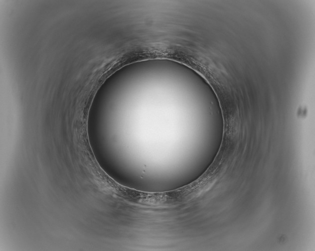 X0000091931201200709121552