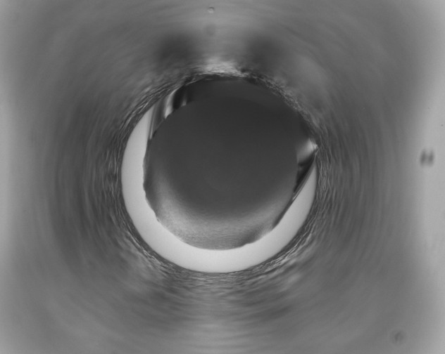 X0000091931202200709121552