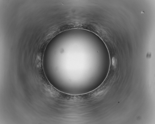 X0000091931203200709121552