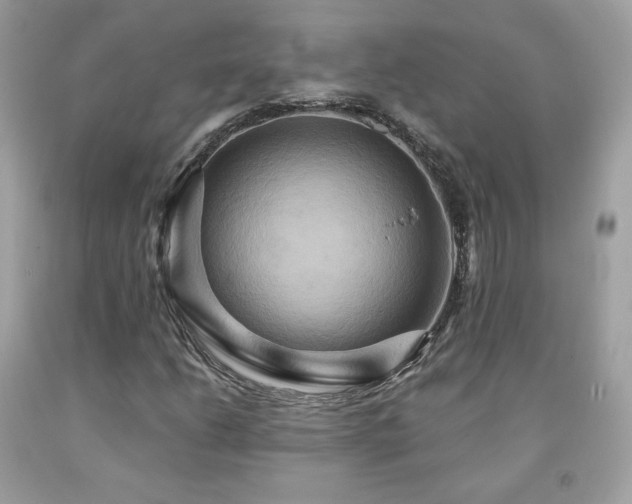 X0000091931206200709121552