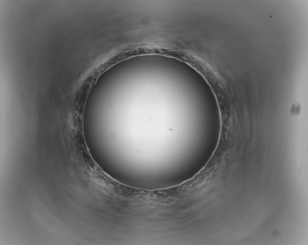 X0000091931207200709121552
