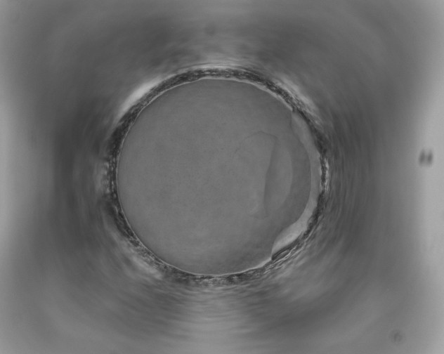 X0000091931208200709121552