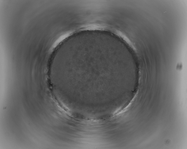 X0000091931213200709121552