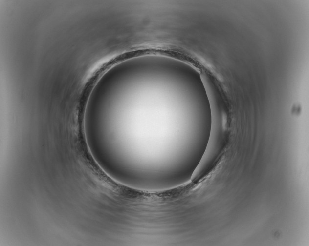 X0000091931214200709121552