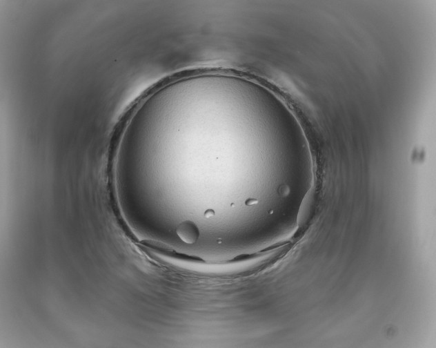 X0000091931216200709121552