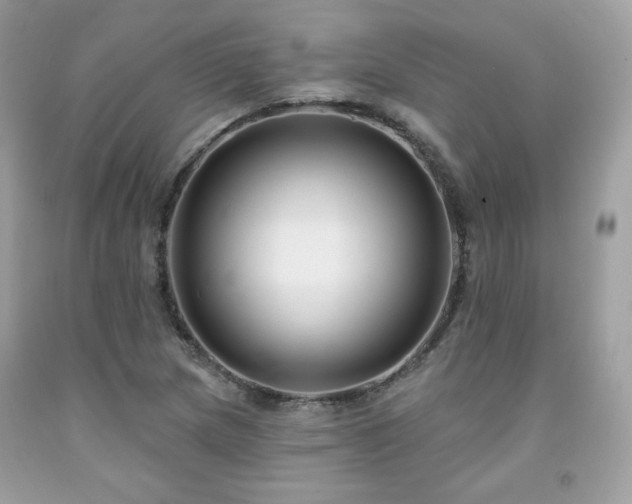 X0000091931217200709121552