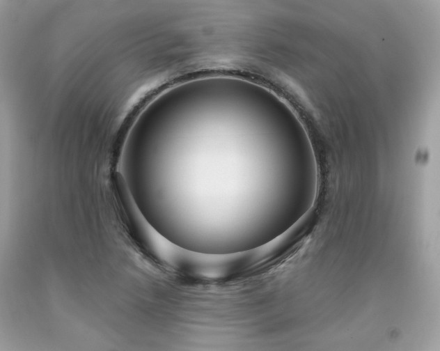 X0000091931218200709121552