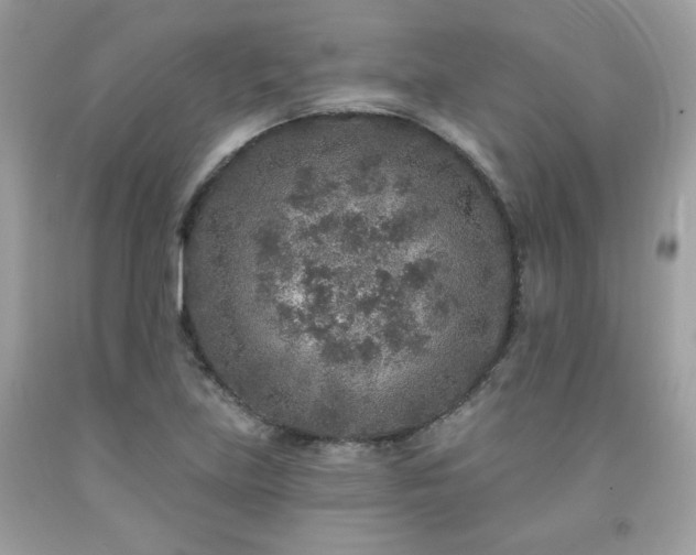 X0000091931219200709121552