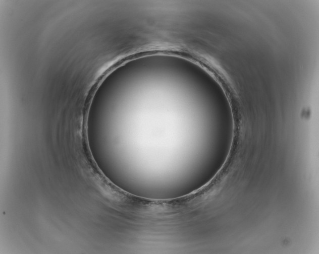 X0000091931220200709121552