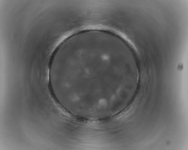 X0000091931221200709121552