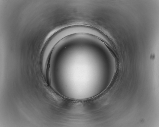 X0000091931222200709121552