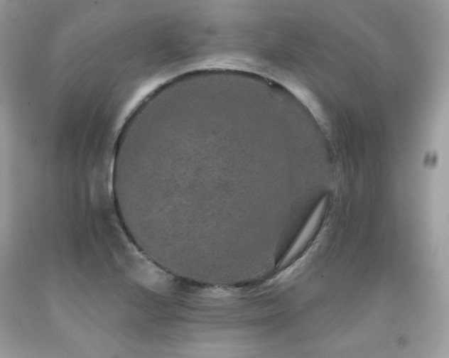 X0000091931224200709121552