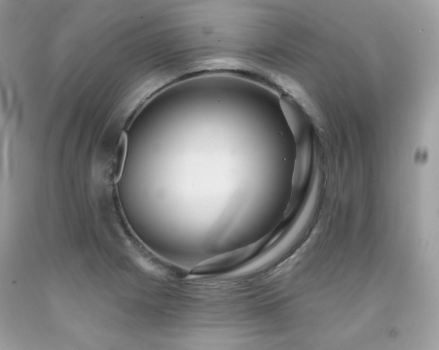X0000091931225200709121552