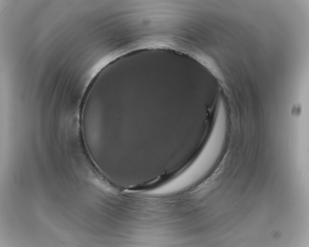 X0000091931226200709121552
