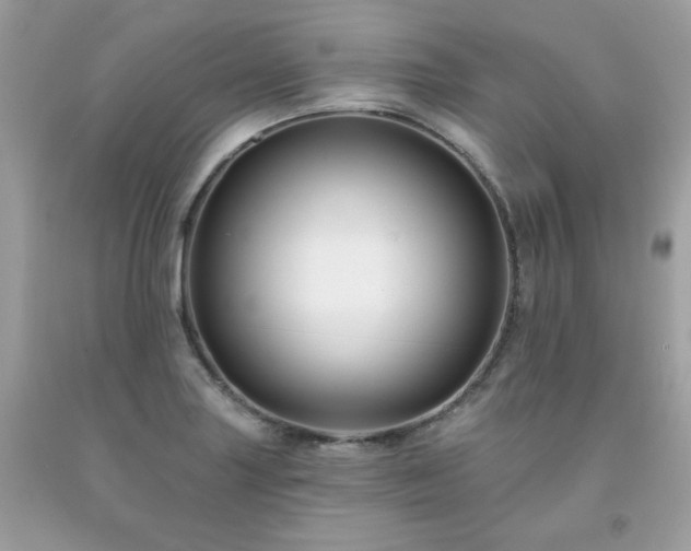 X0000091931227200709121552