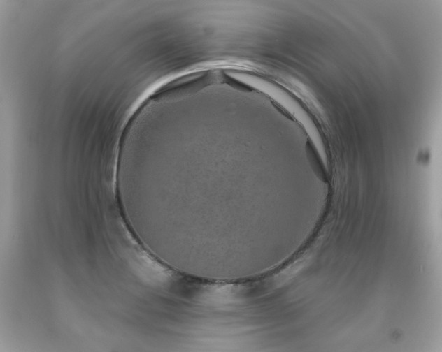 X0000091931228200709121552