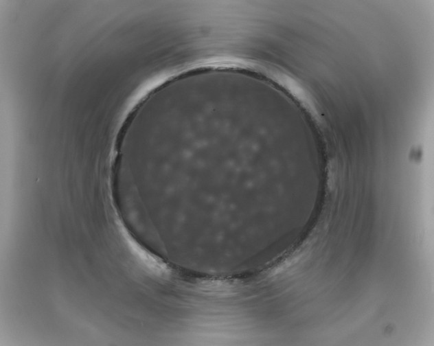X0000091931229200709121552